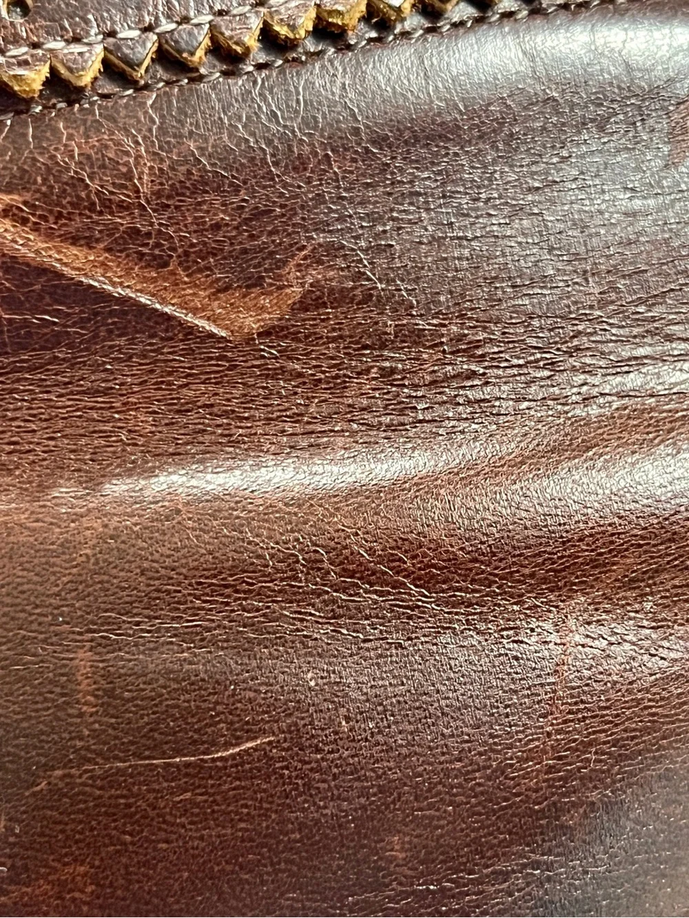 Allen Edmonds classic versatile